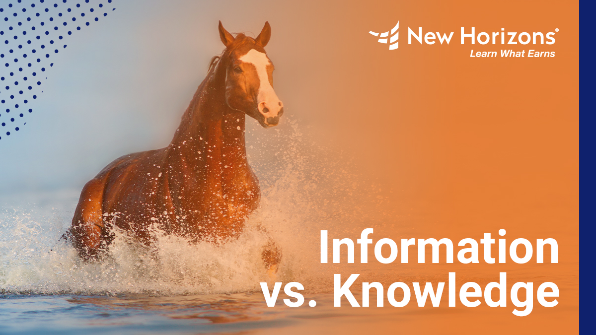 CAPM Information vs Knowledge
